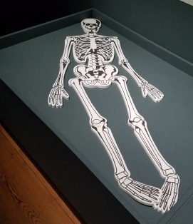 reassemble a skeleton, mus lon doc